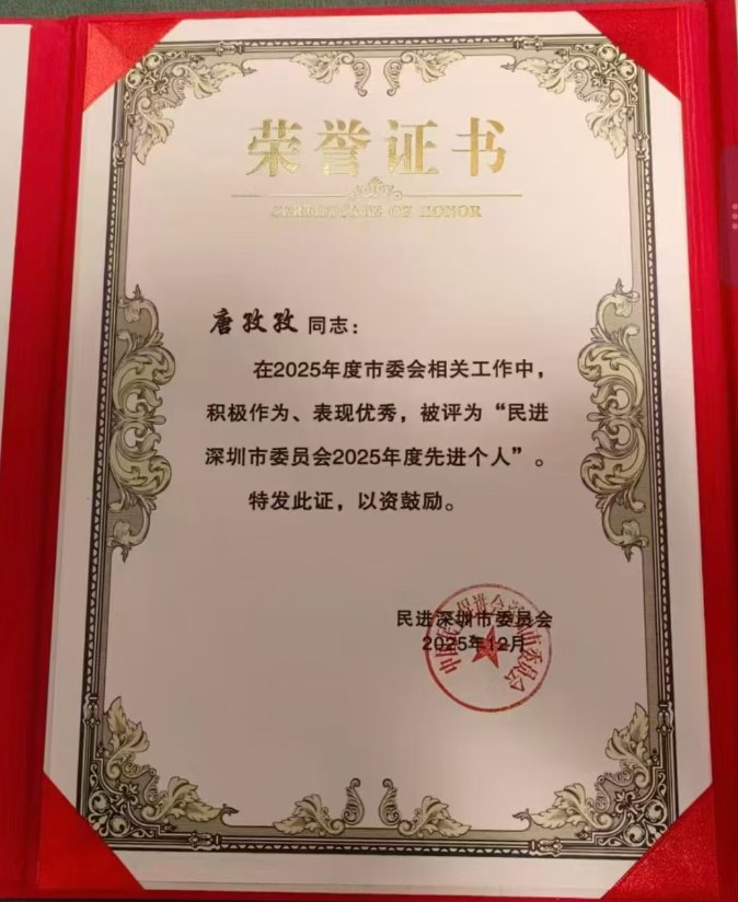 民进深圳市委员会年度先进个人
